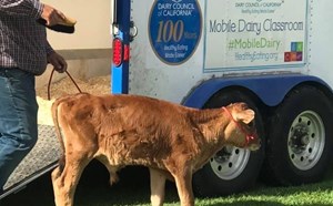 Dairy Council of California - article thumnail image